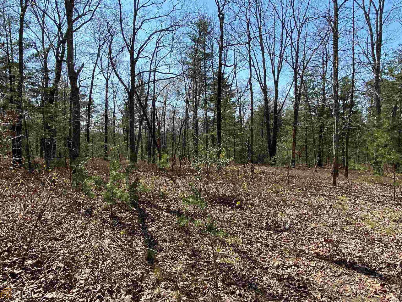 0 441 Old Hist Highway - Photo 1