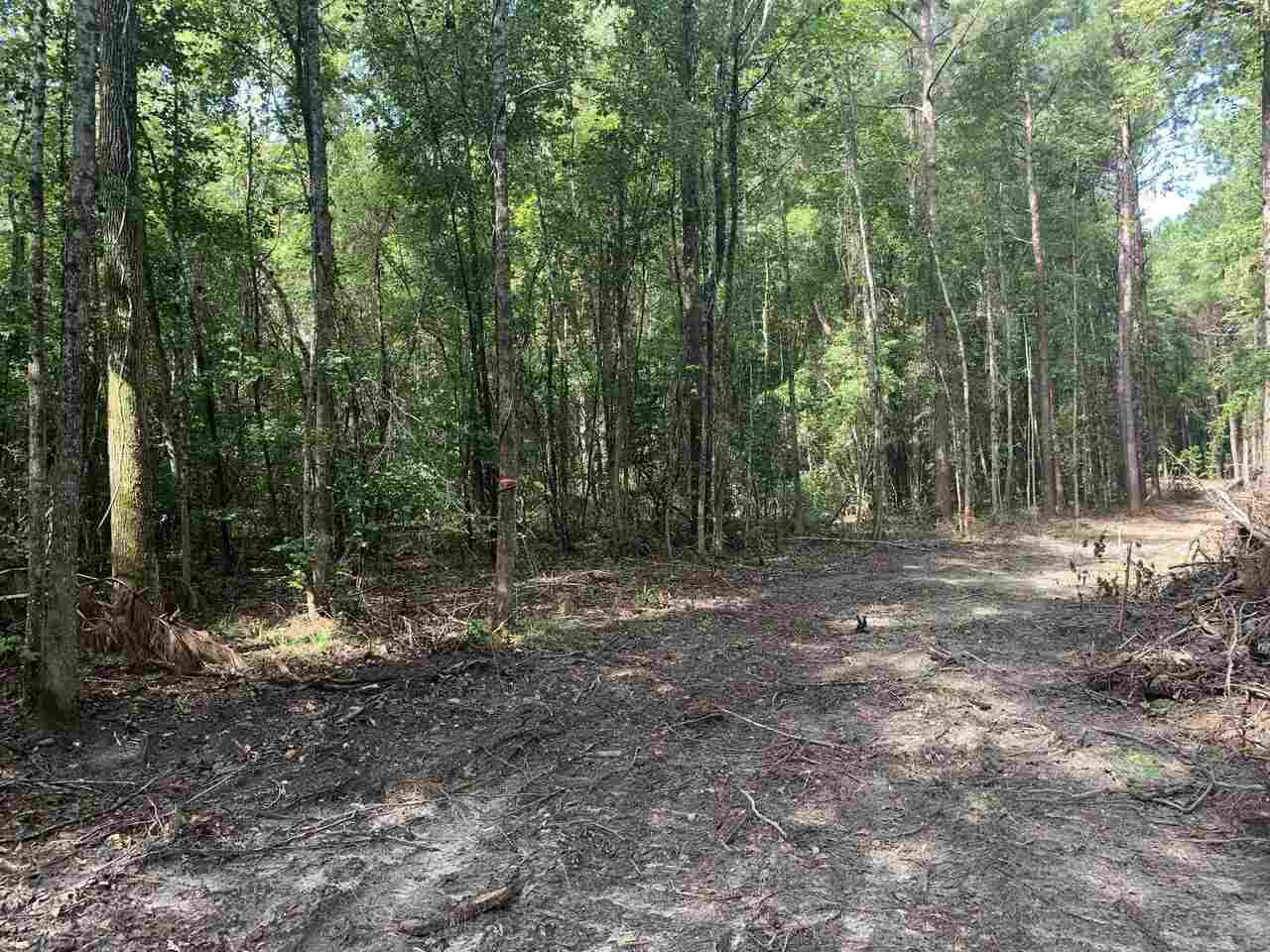 1340 Twin Oaks Road - Photo 1