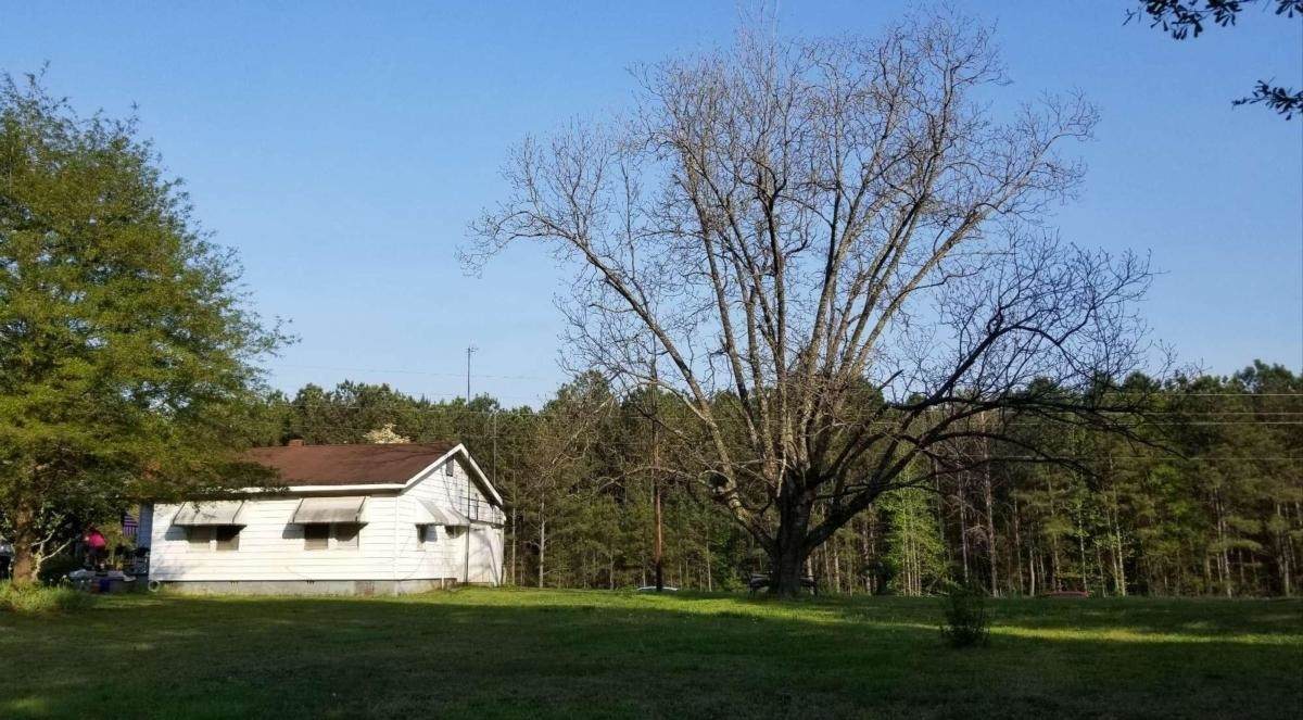 15901 Highway 36 - Photo 1