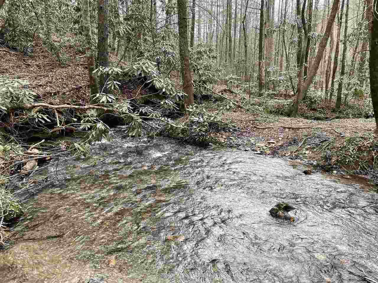 0 Hells Hollow Road - Photo 1