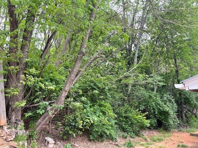 141 Morton Alley - Photo 1