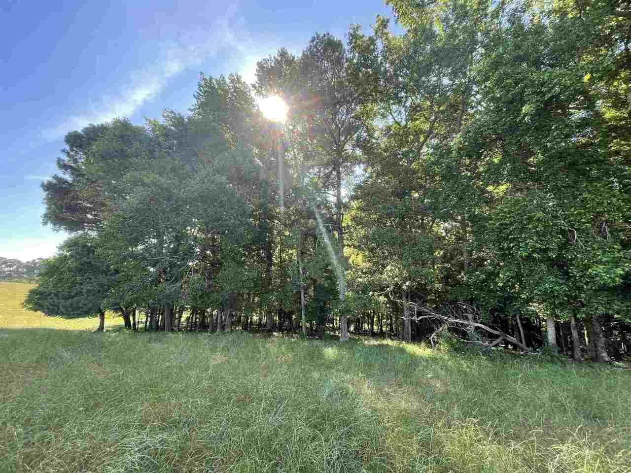 0 Raleigh Road - Photo 1