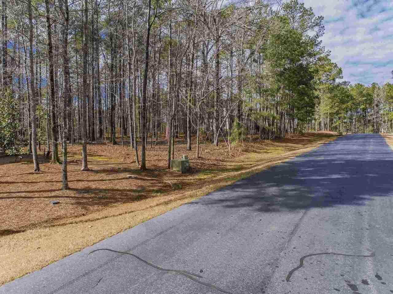 1031 Club Cove Drive - Photo 1