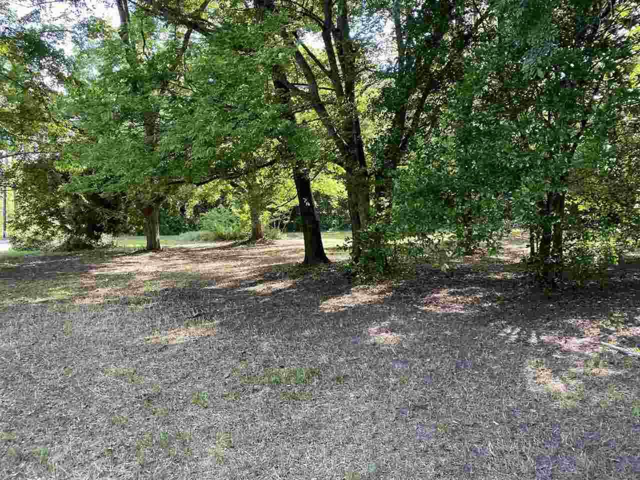 223 Ash Street - Photo 1