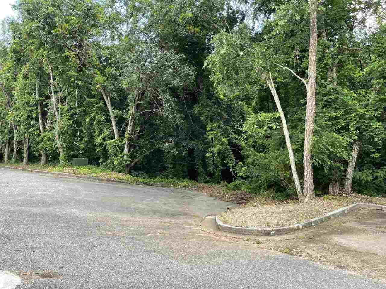0 Upper Hembree Road - Photo 1