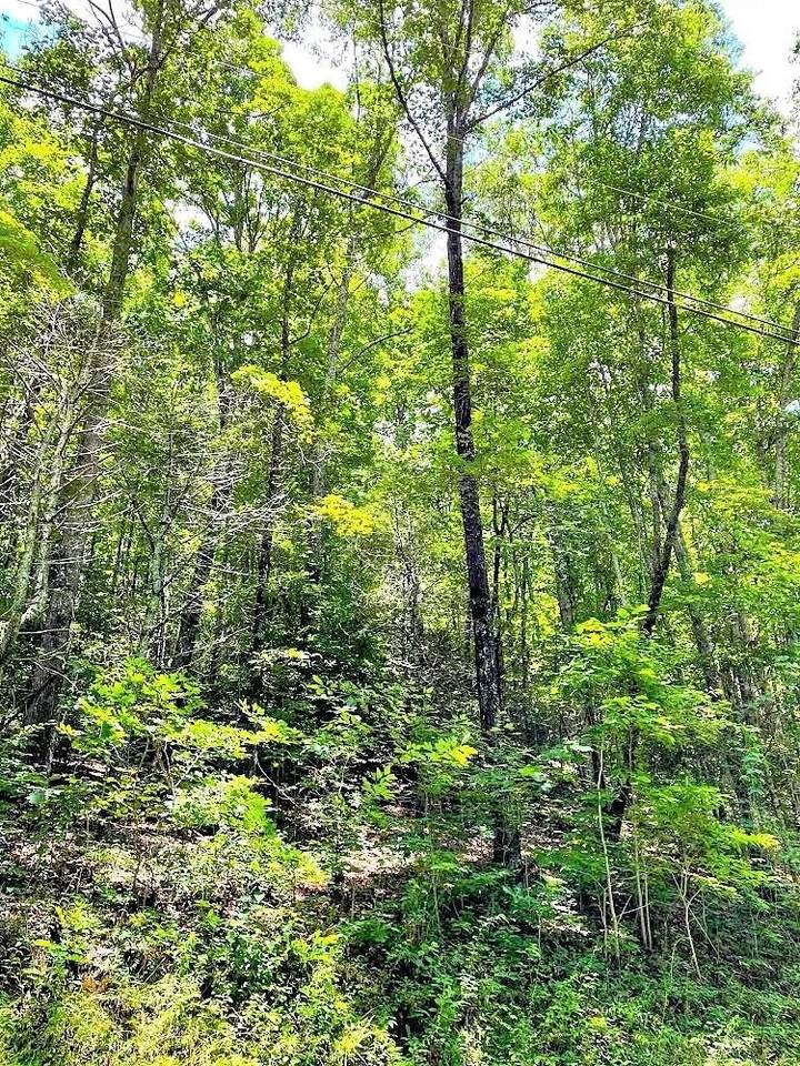 0 Blue Ridge Gap Road - Photo 1