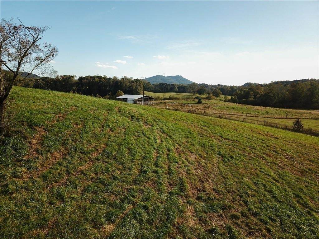 0003 Hendrix Road - Photo 1