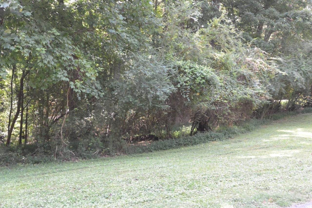 0 North Hall Road - Photo 1
