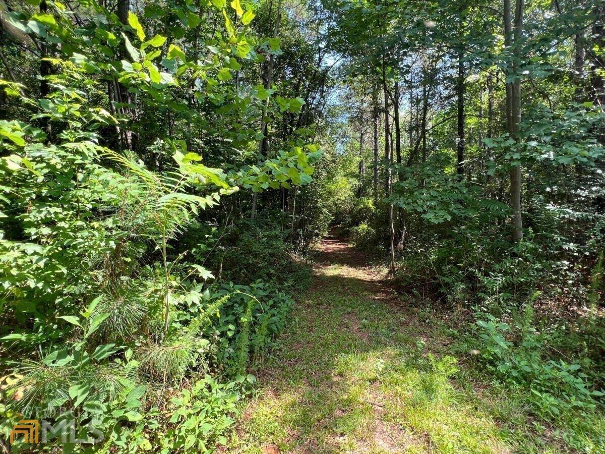 0 Horseshoe Trl., Lot 4C - Photo 1