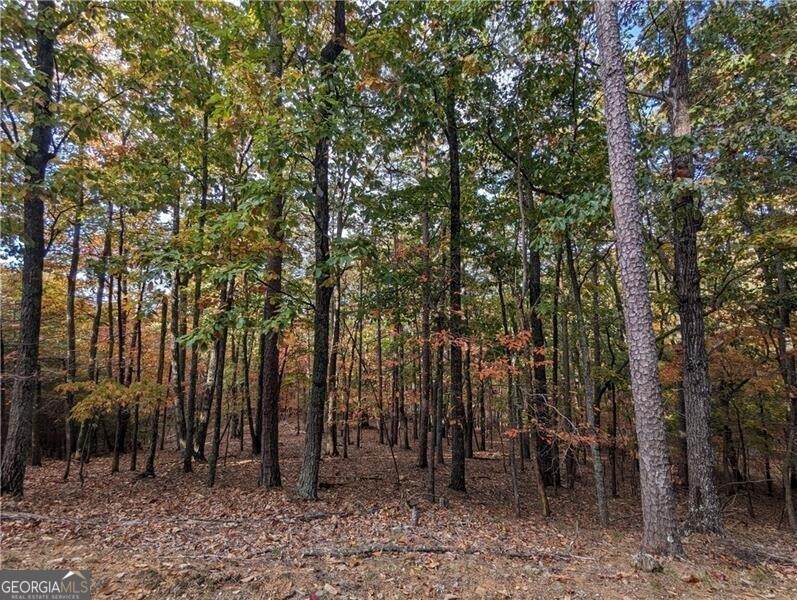 0 Oglethorpe Mountain Road - Photo 1