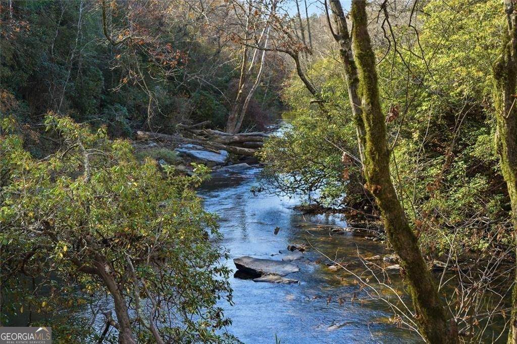 0 Lower Dowda Mill Road - Photo 1