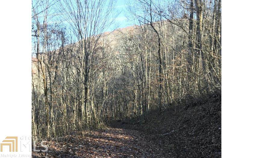 0 Black Gap Road - Photo 1