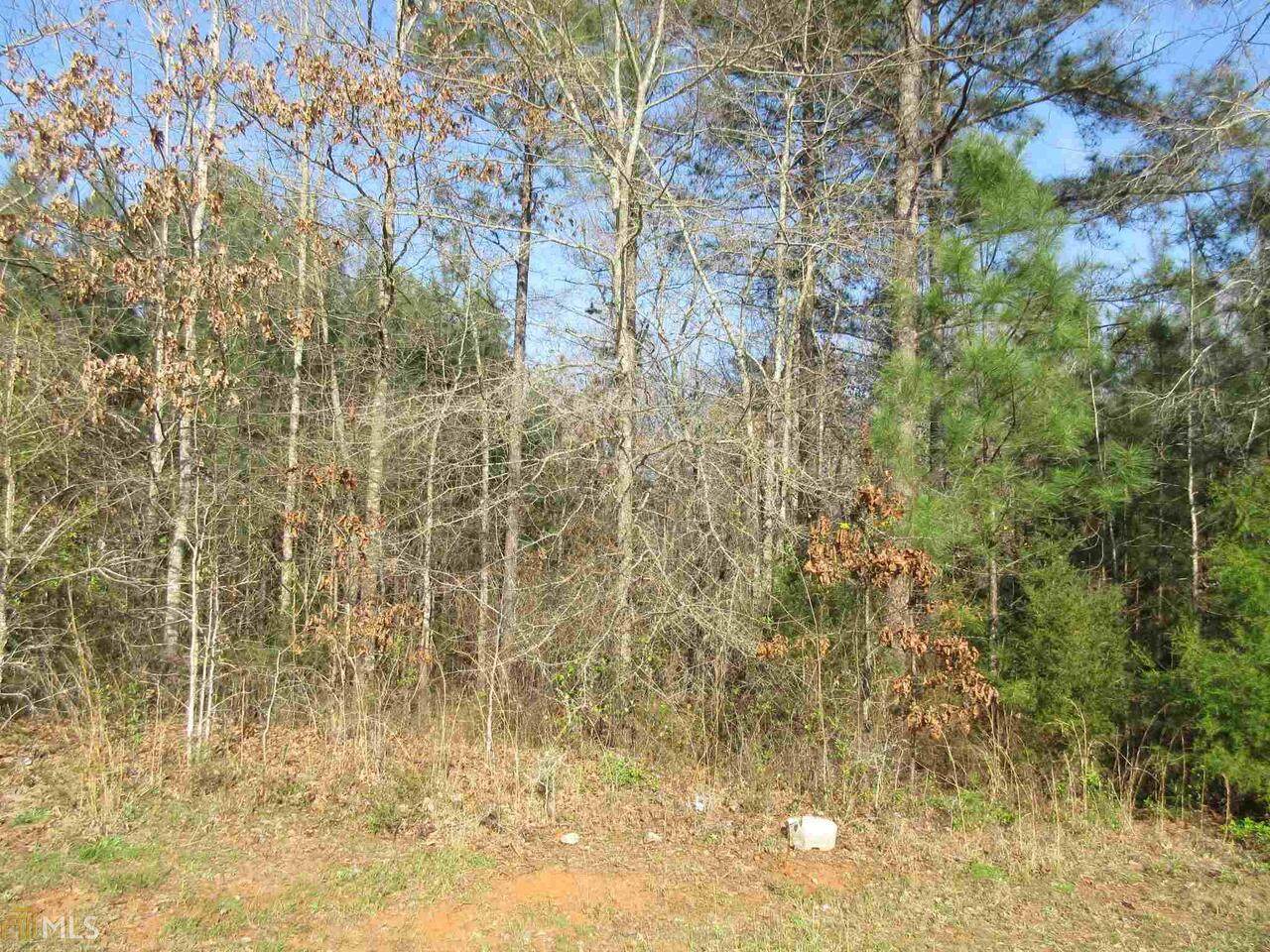 215 Shenandoah Drive - Photo 1