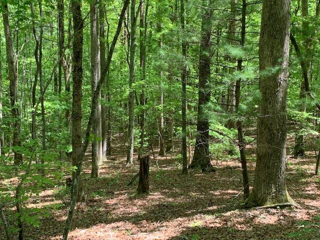 0 Big Creek Road - Photo 1