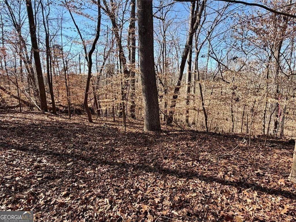 0 Arrowhead Court - Photo 1