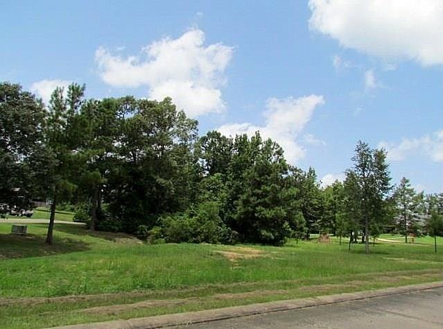 0 Masters Drive - Photo 1