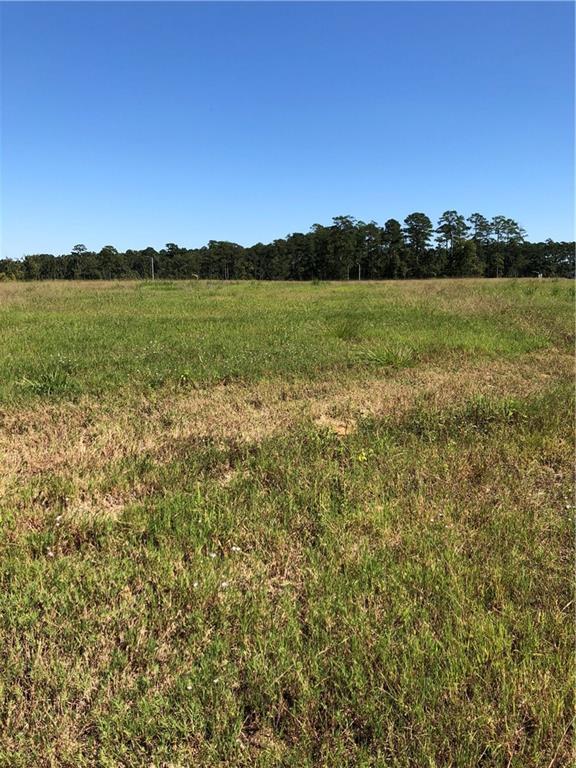 3419 Kisatchie Circle (Lot 59) - Photo 1
