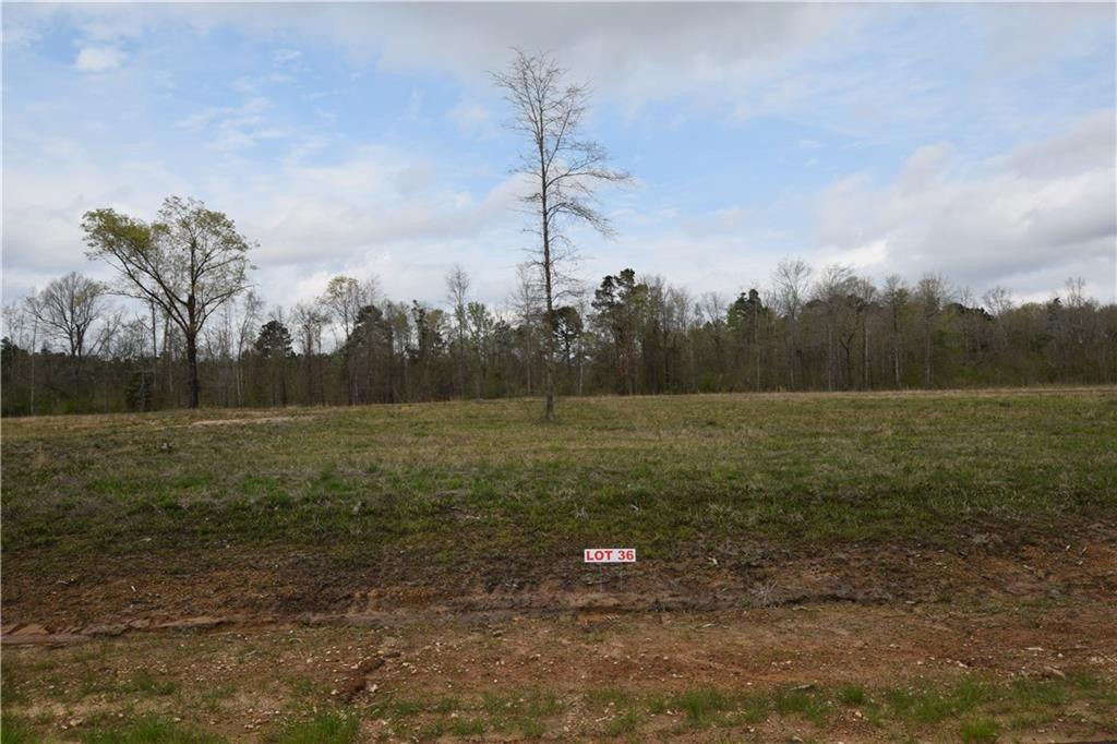 131 Harvest Hill Trail - Photo 1