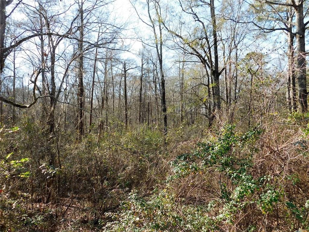 0 White Oak Drive - Photo 1