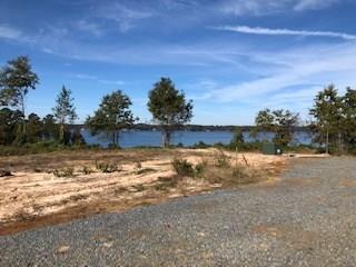 376(lot5) Peck Street - Photo 1