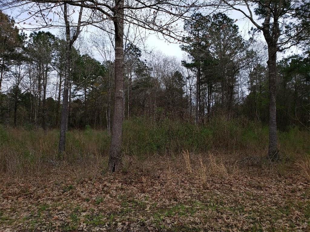 46 Yohanna Lane - Photo 1