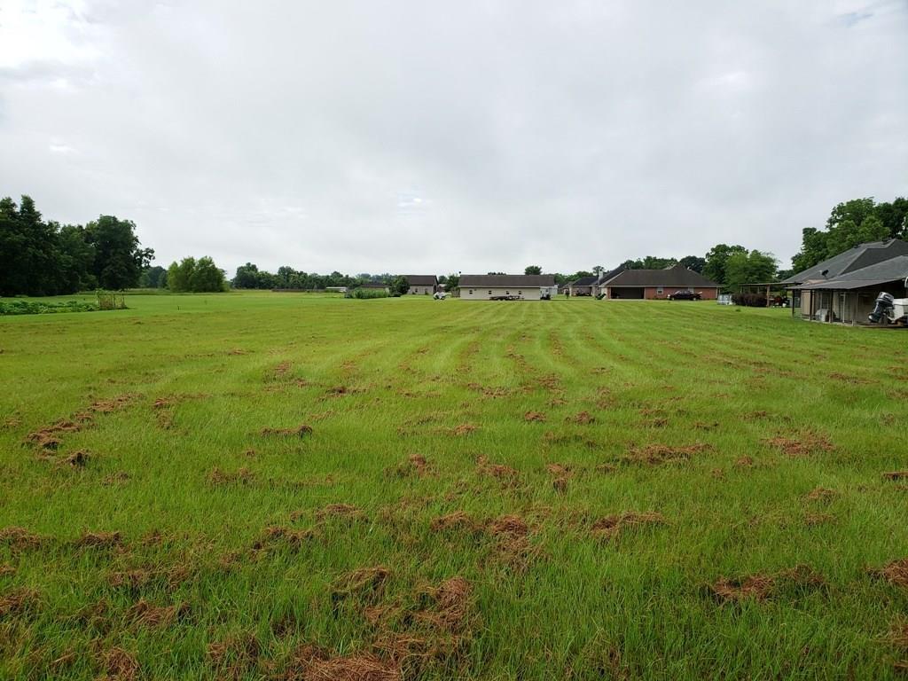 3134 Hwy 457 - Photo 1