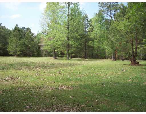 25 Woodson Landing Road - Photo 1