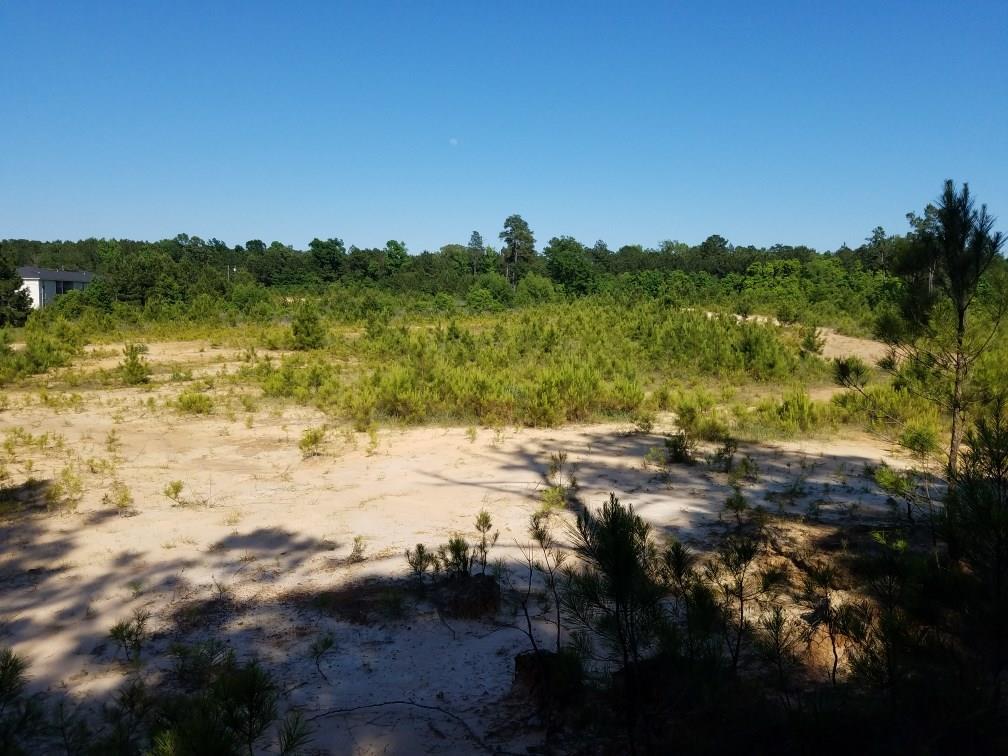 0 Highway 28 East - Photo 1