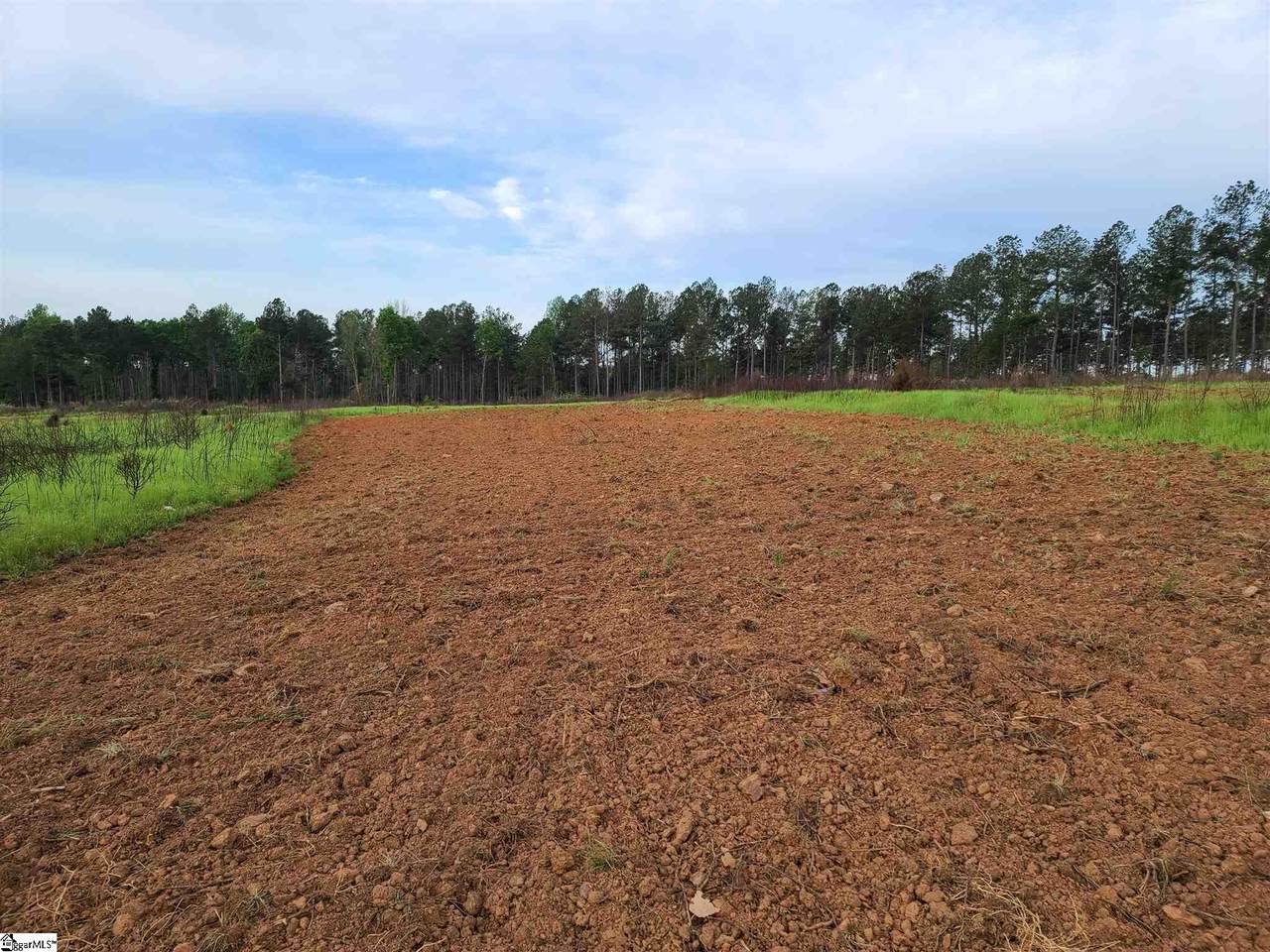 839 Duncan Creek Church Road - Photo 1