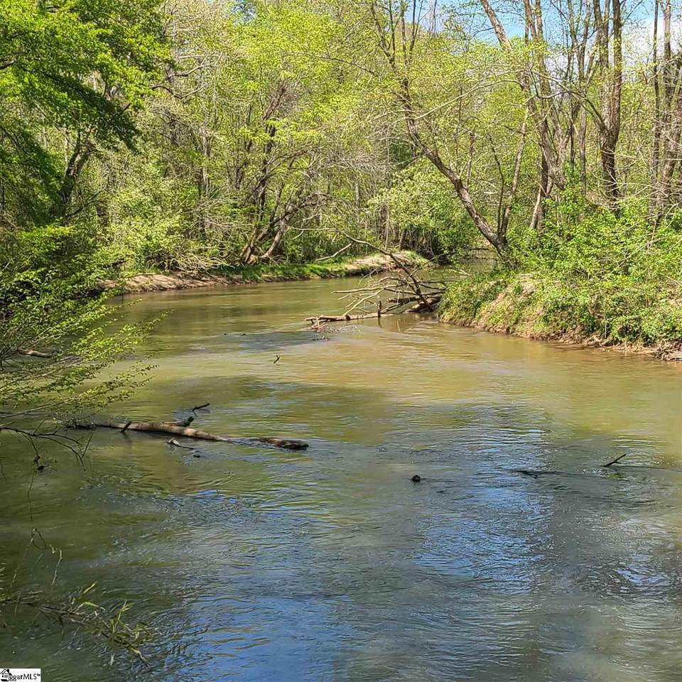 0 Freeman Bridge Road - Photo 1
