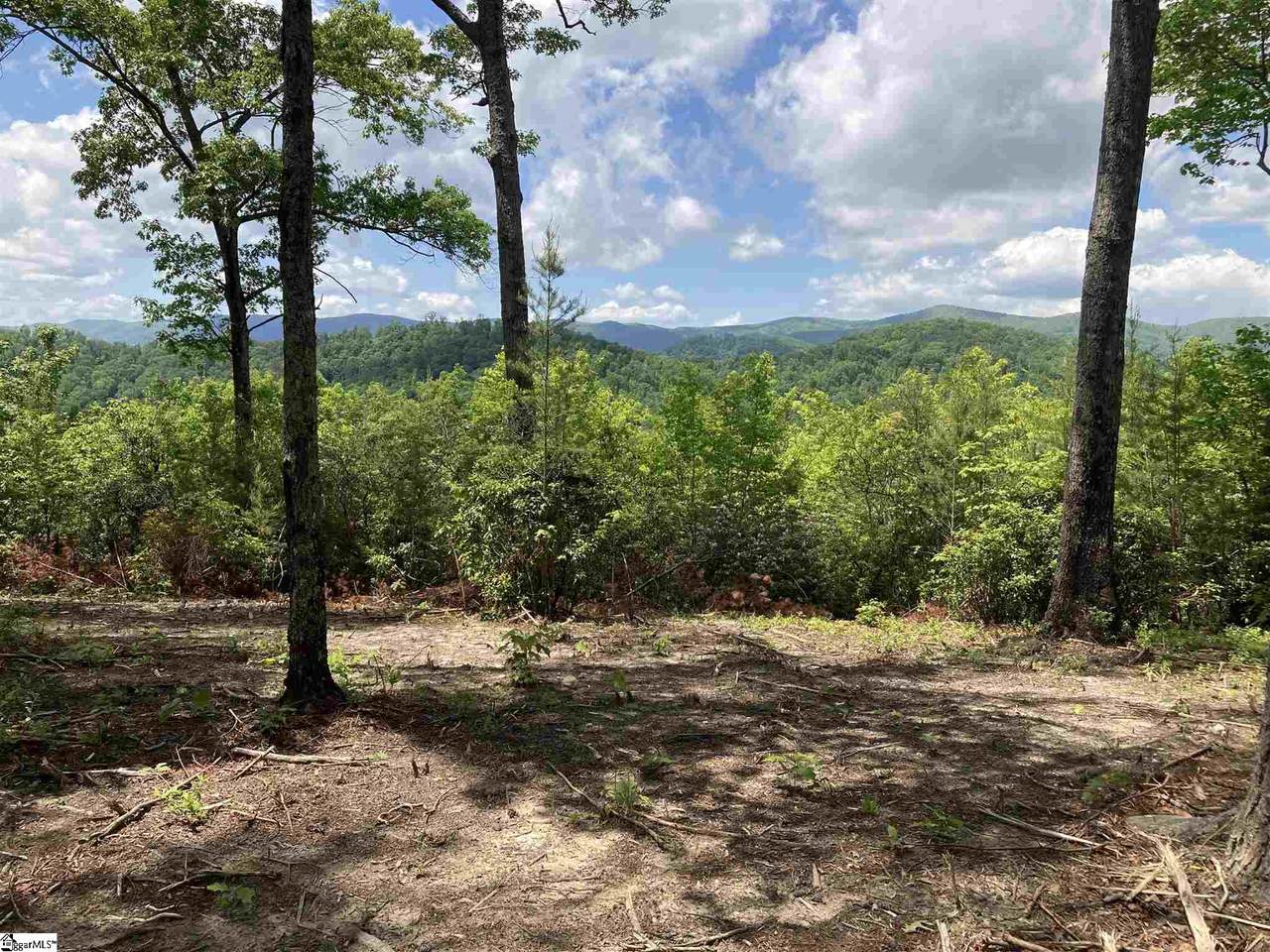 210 Blue Bonnet Trail - Photo 1
