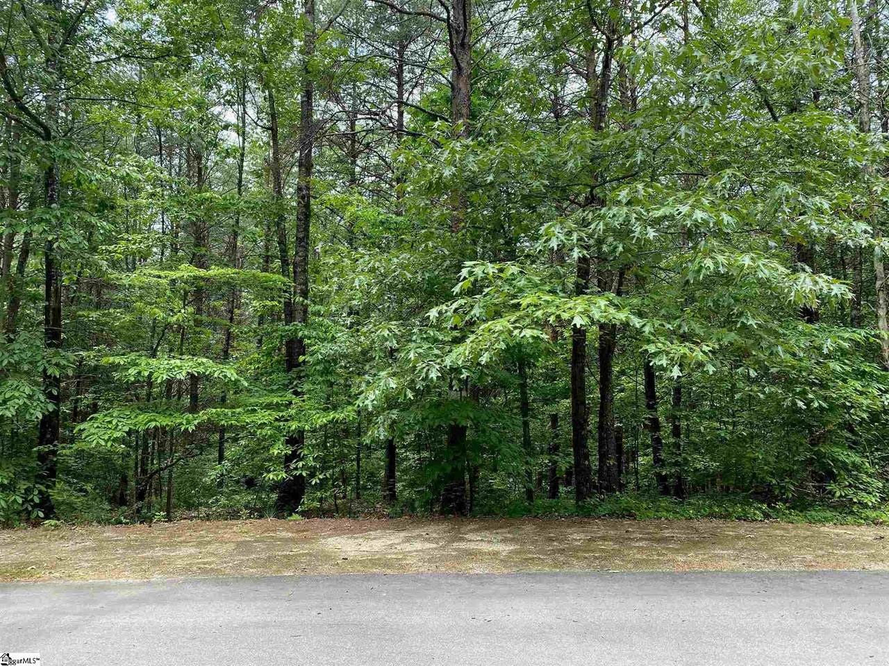 508 Vineyard Park - Photo 1