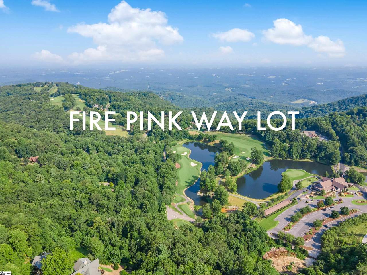 735 Fire Pink Way - Photo 1