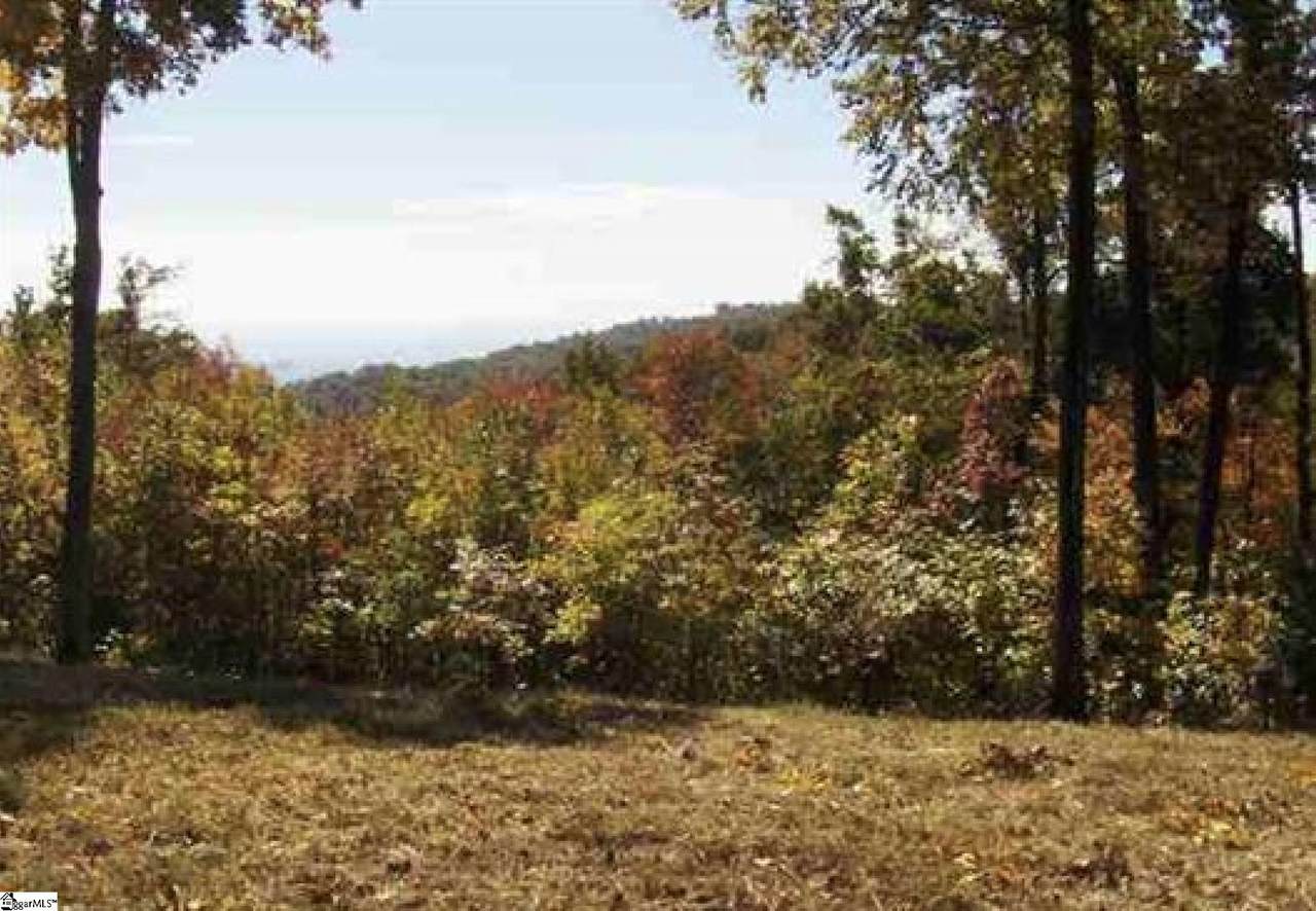 Wild Ginger Road - Photo 1