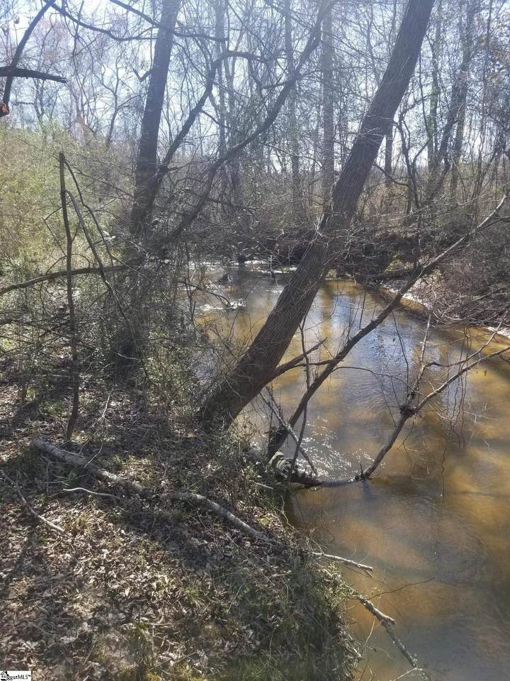 00 Fork Shoals Road - Photo 1
