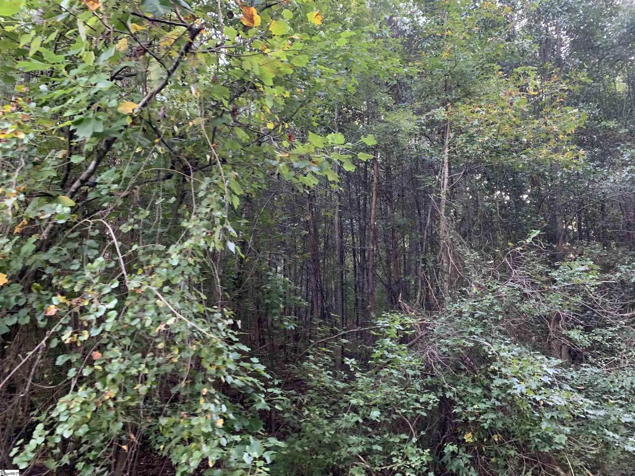TBD Edwards Road - Photo 1