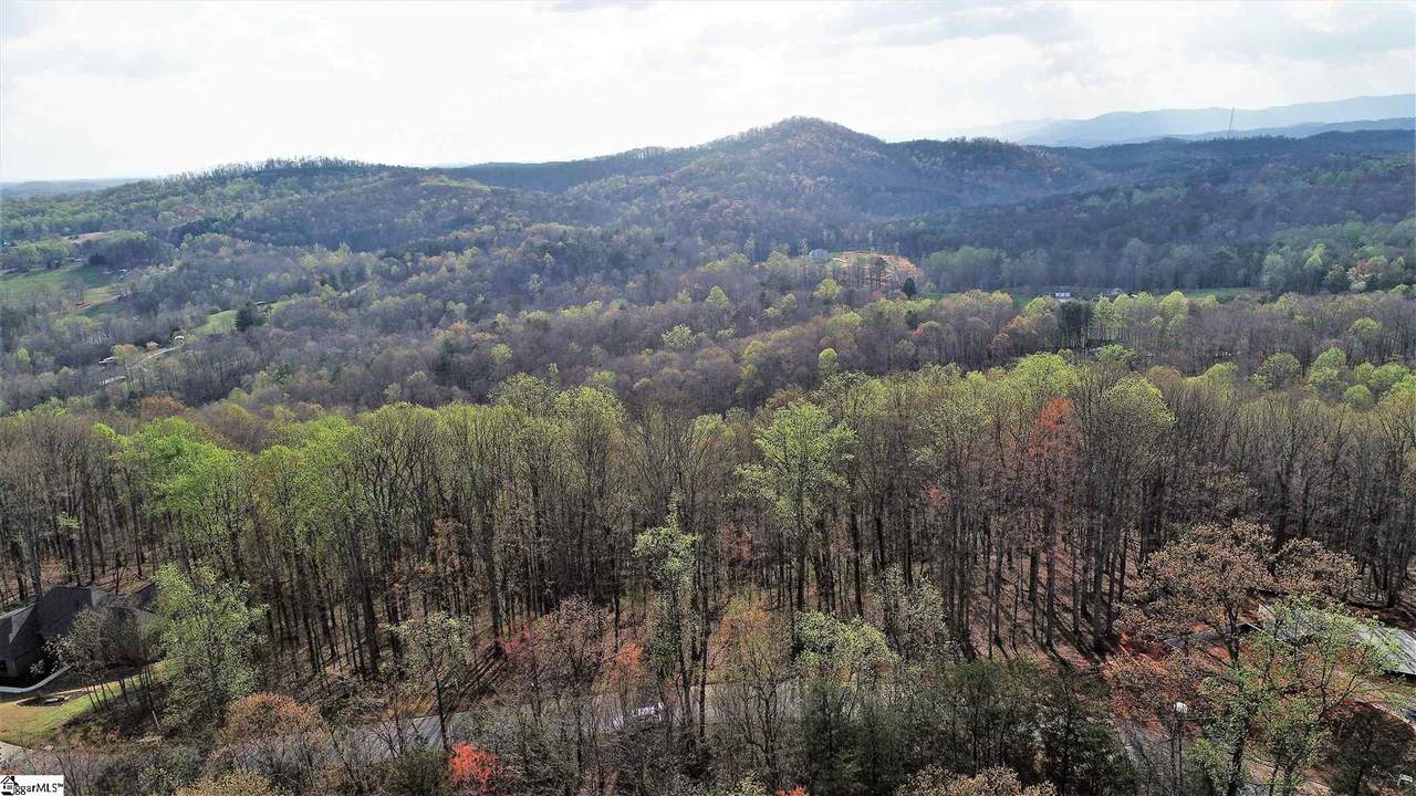 317 Laurel Valley Way - Photo 1