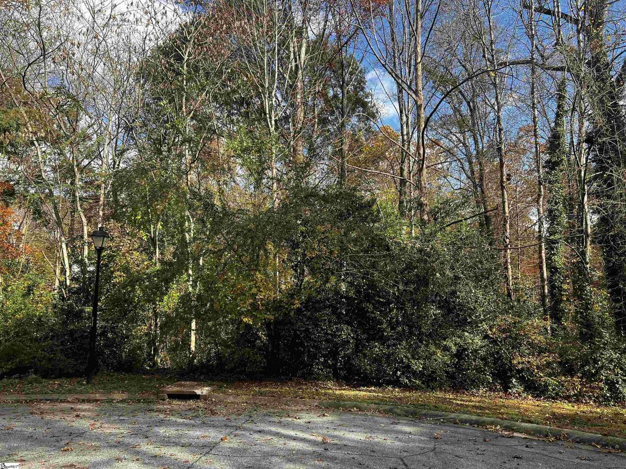 Club Forest Lane - Photo 1