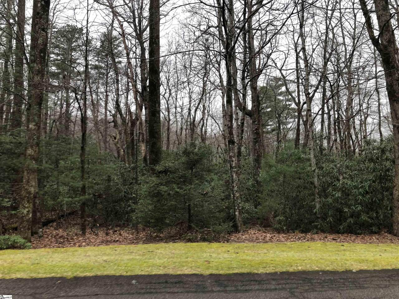 403 Cliff Ridge Drive - Photo 1