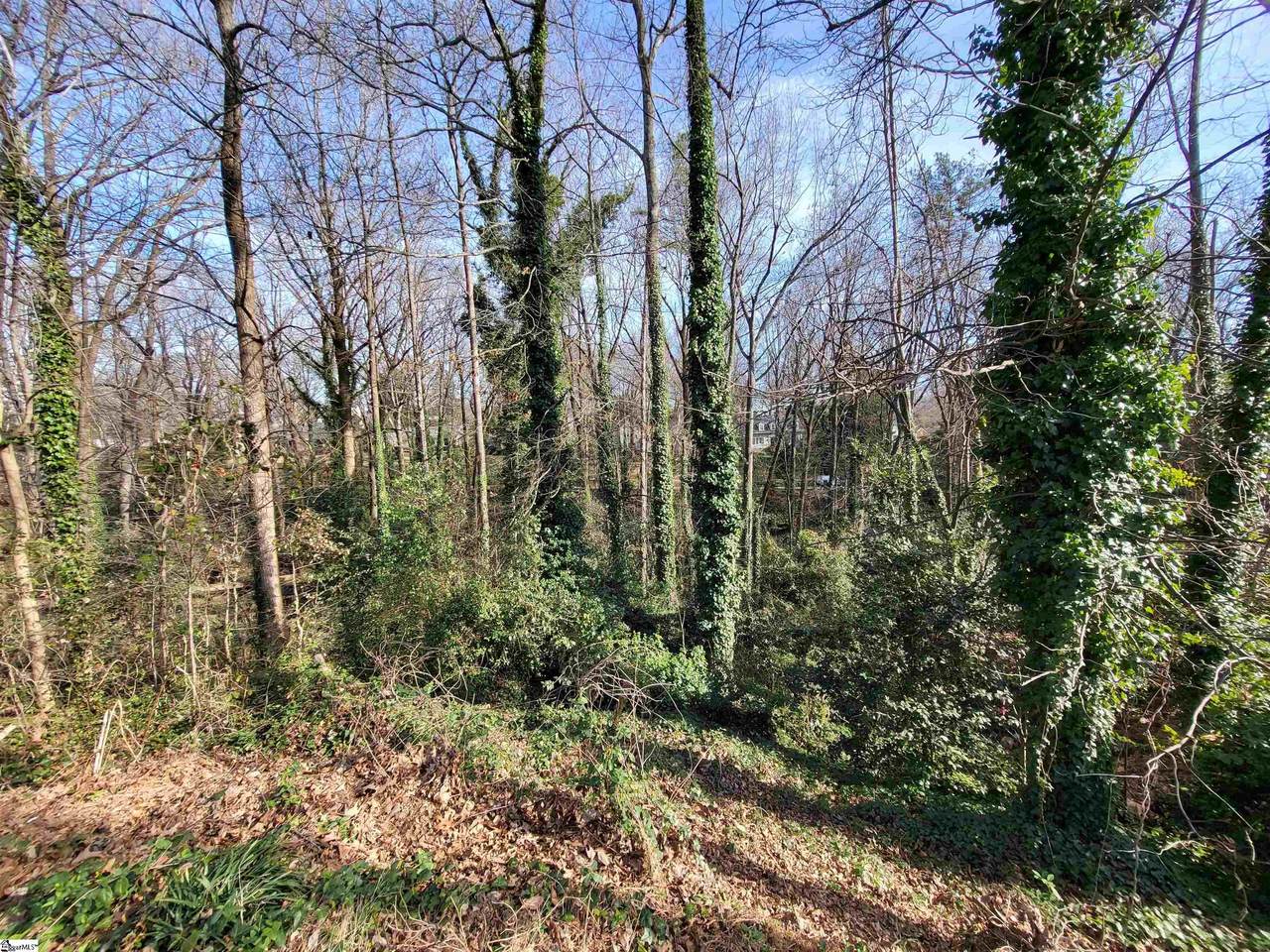 00 English Ivy Lane - Photo 1