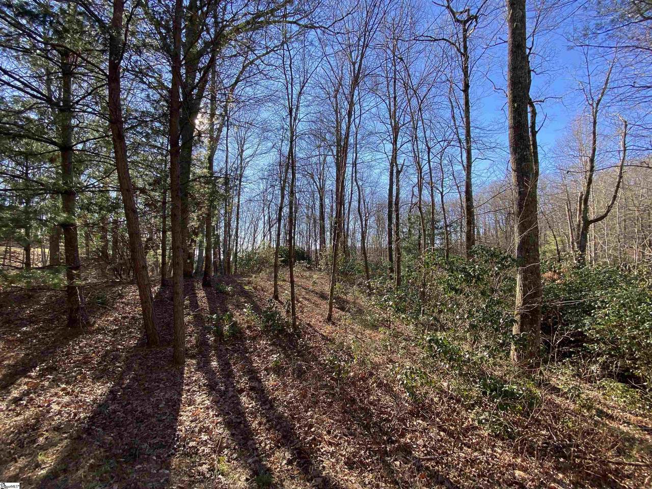 00 Mossy Glen Drive - Photo 1