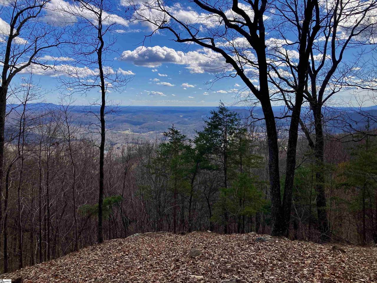 1006 Mountain Summit Road - Photo 1