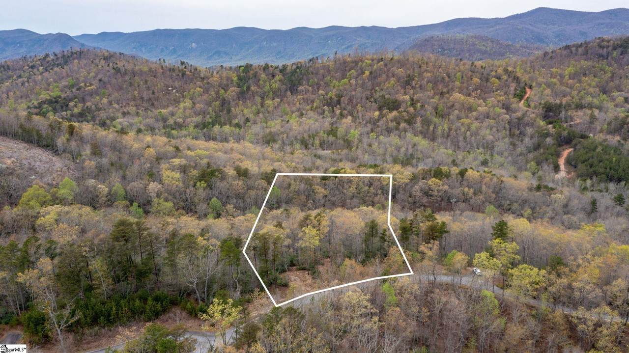 25 White Fox Trail - Photo 1