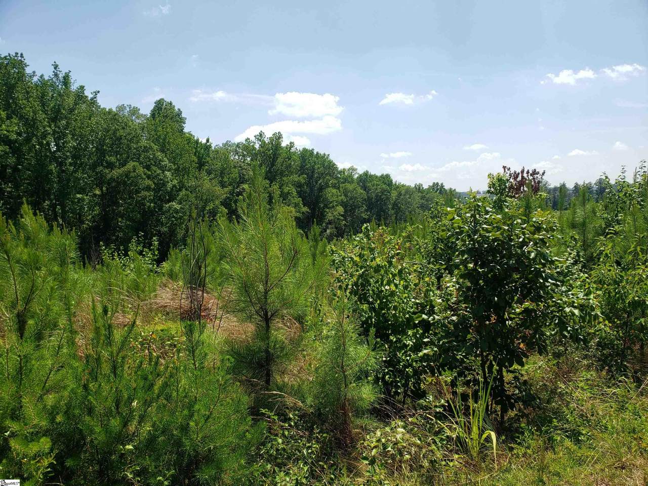 0 Robbins Road - Photo 1