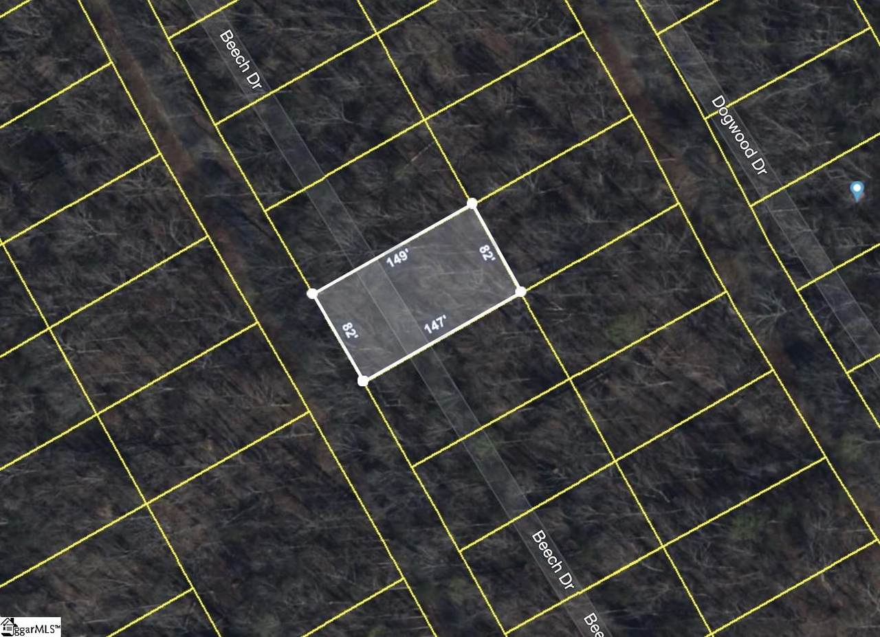 323 Beech Drive - Photo 1
