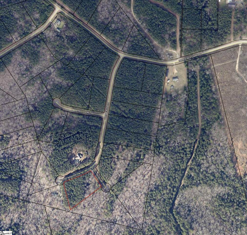 00 Twin Fawn Drive - Photo 1