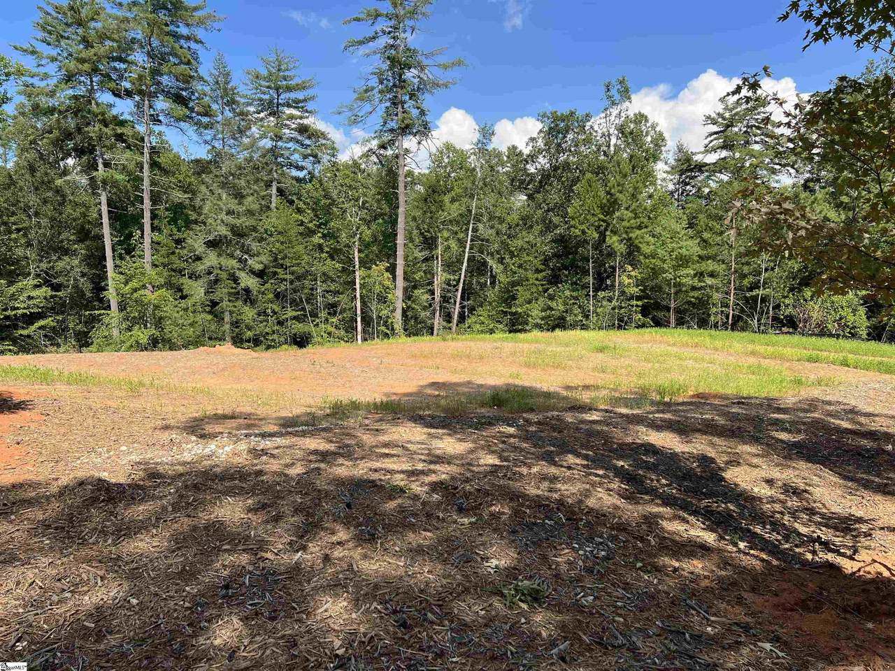 101 Pixie Moss Way - Photo 1