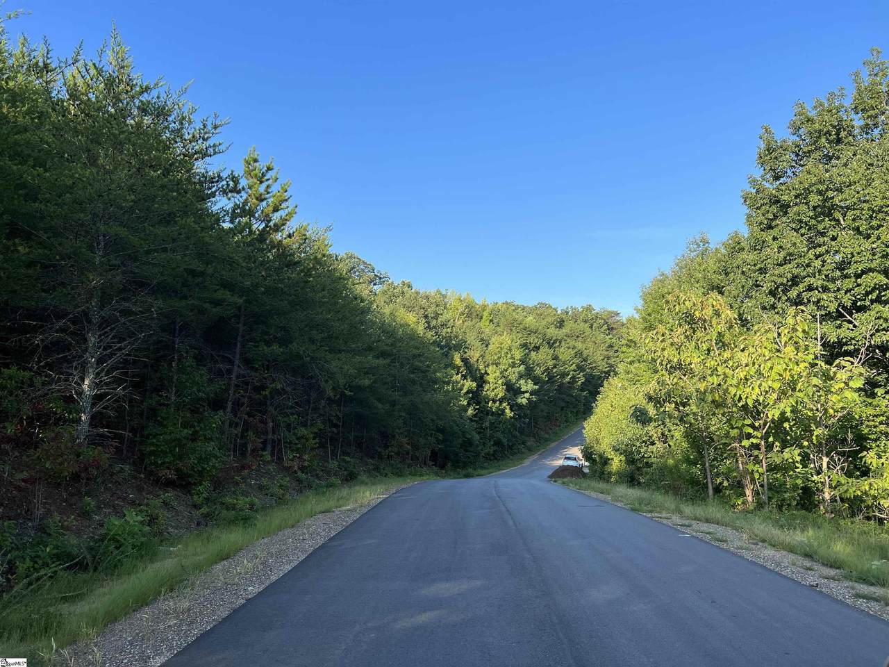 48 Packforest Road - Photo 1
