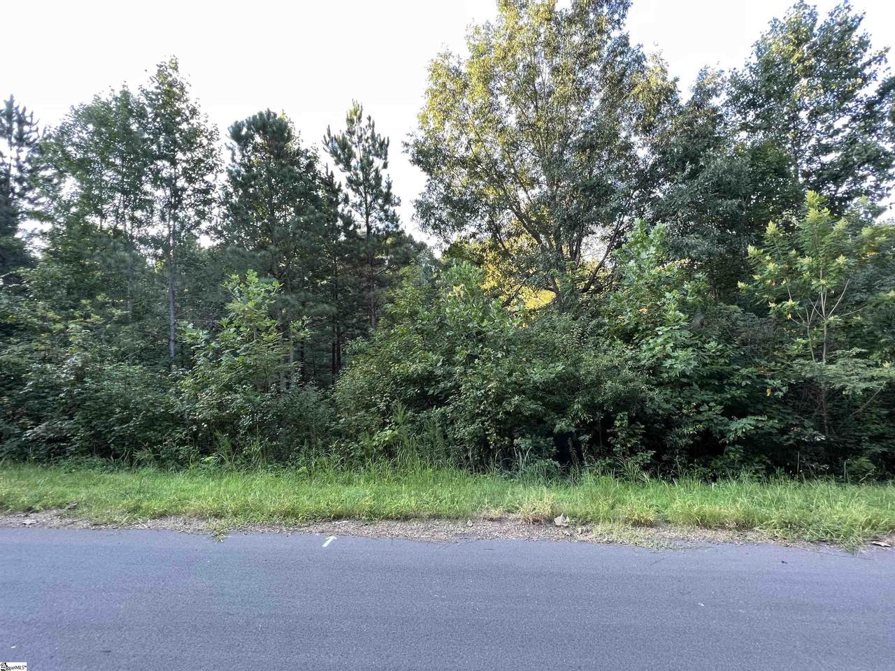 56 Packforest Road - Photo 1