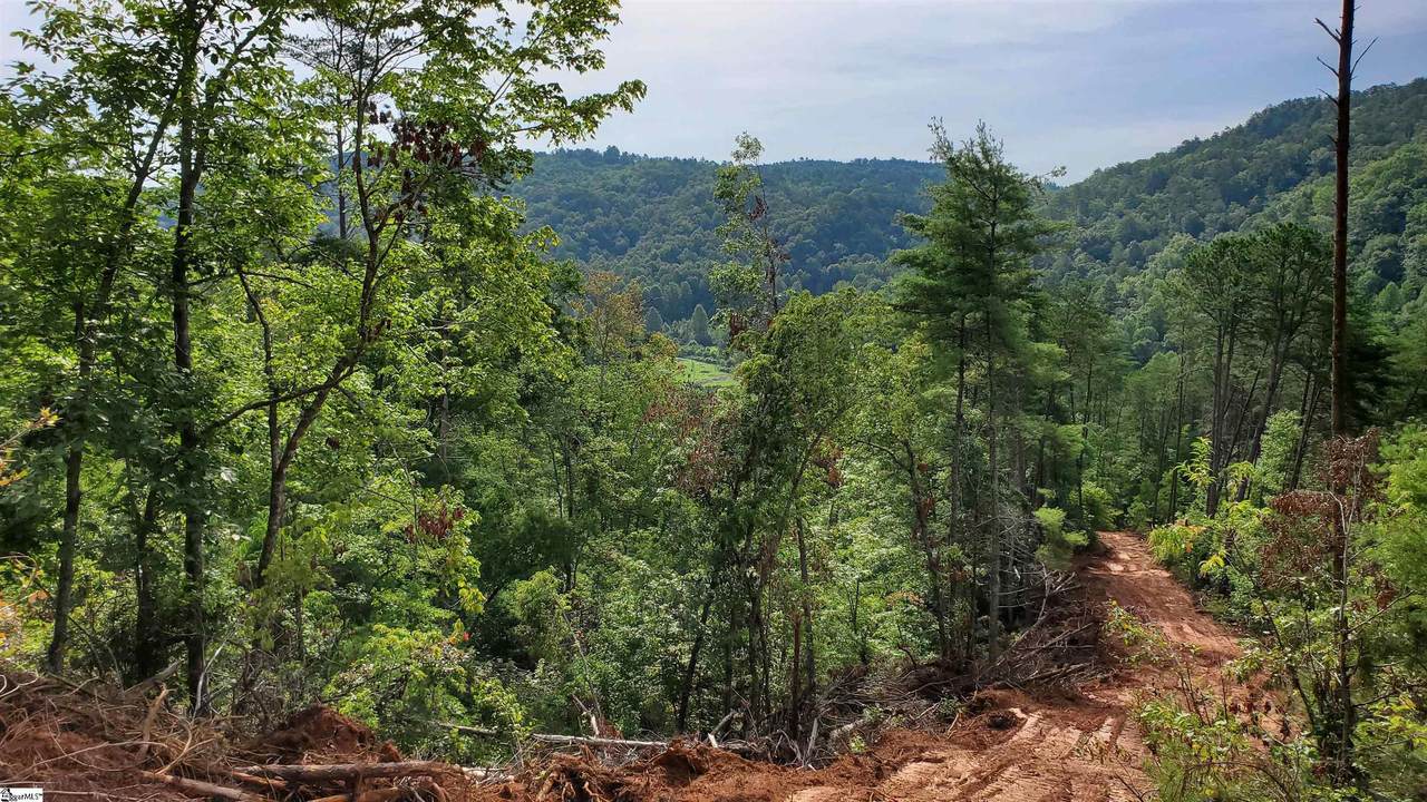 Brasstown Road - Photo 1